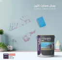 Berger Royale smart clean